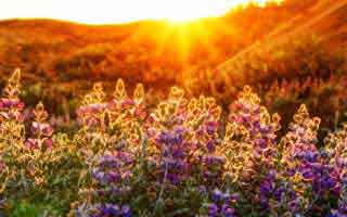 别眨眼——麻豆APP官网上新了，最离谱的推荐，结局有点反转（新手必看）