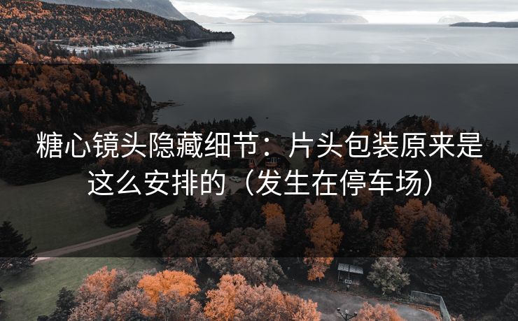 糖心镜头隐藏细节:片头包装原来是这么安排的(发生在停车场)